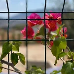 View קסאמיל