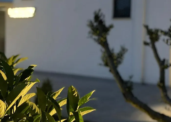 호텔 View 사밀
